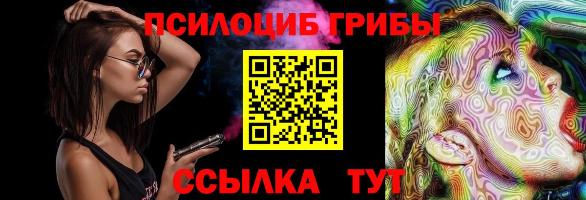 Галлюциногенные грибы Psilocybe  Галлюциногенные грибы MAGIC MUSHROOMS  Вход с VPN  Сегежа 